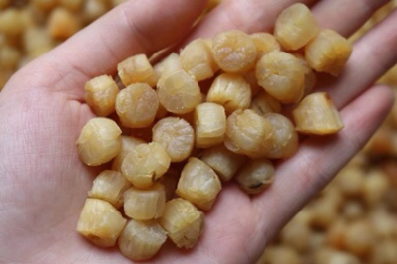 特价小干贝瑶柱600-700头