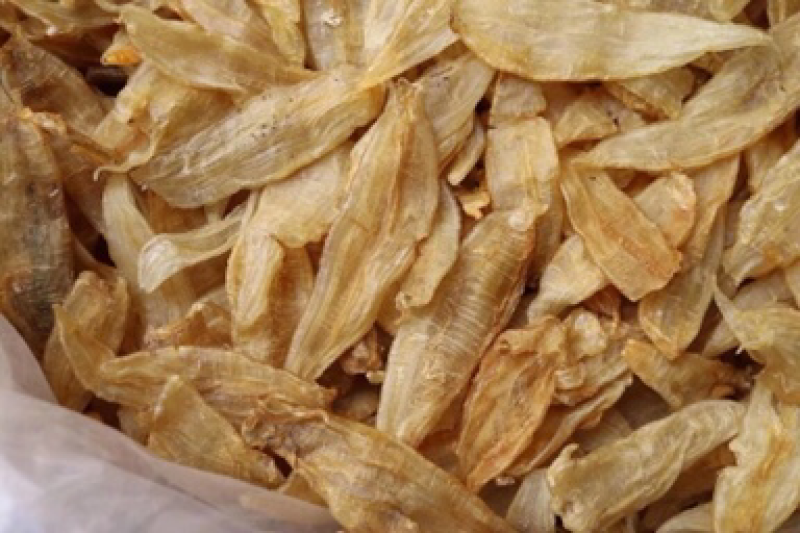 清水120头南美鳘鱼胶，金龙条。新款新货