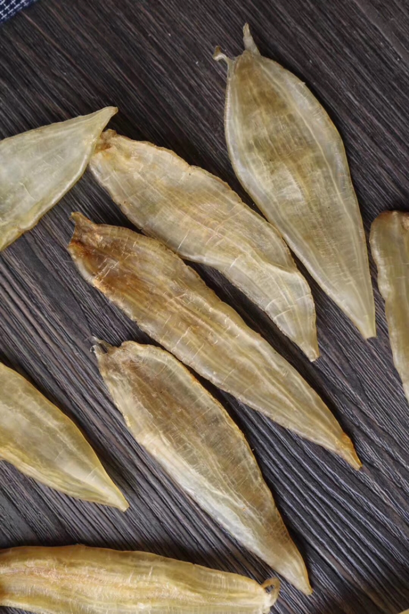 清水120头南美鳘鱼胶，金龙条。新款新货