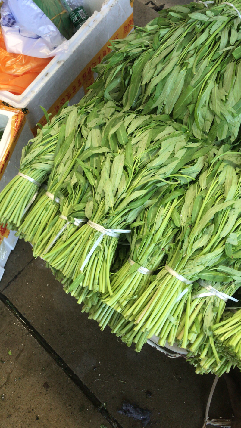空心菜（大棚种植基地空心菜）产地直供，自产自销