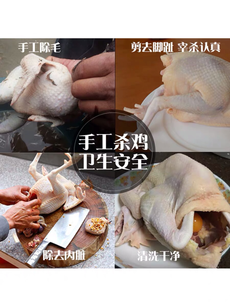 （现杀现发）正宗清远鸡冰鲜出货，整只装