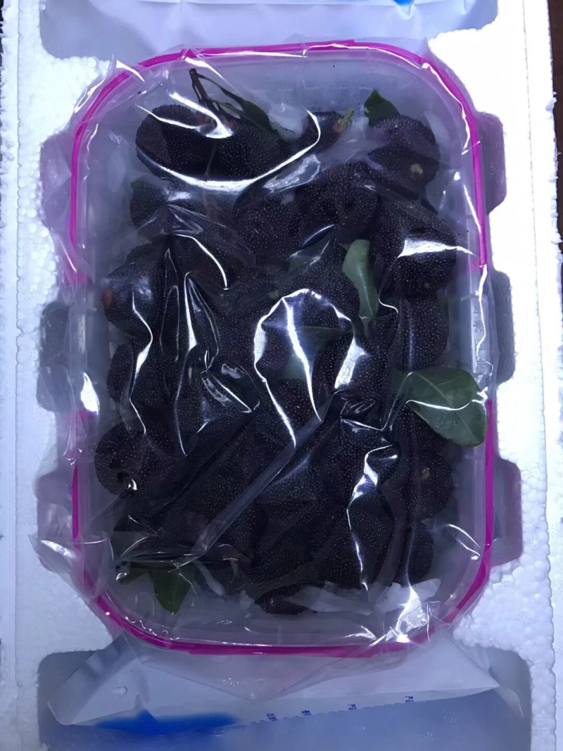 新鲜杨梅现采现发！东魁杨梅！