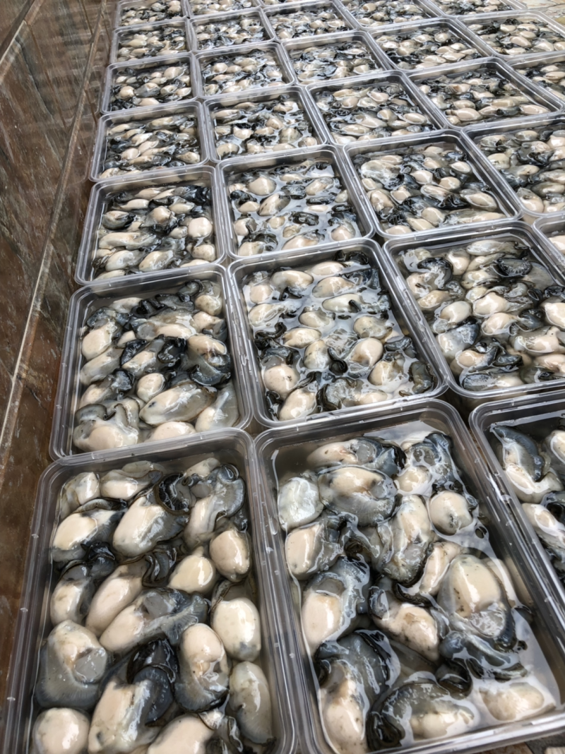 新鲜牡蛎生蚝肉批发零售都有。当天打捞当天现剥发货。
