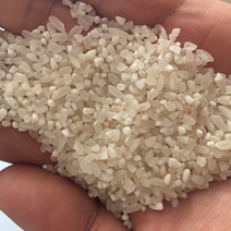 稻花香大碎米粥米5kg