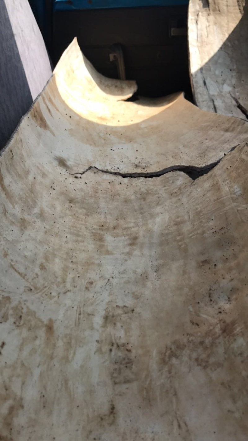 杜仲出售