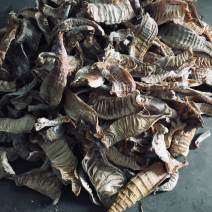 水煮笋干