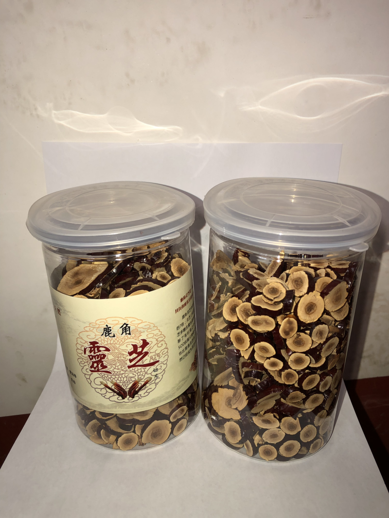 鹿角灵芝，灵芝草，切片