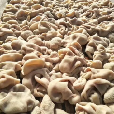 【熟食羊肚】精品羊肚五斤一包一件二十斤大小均匀