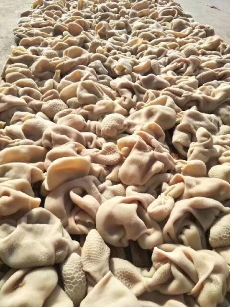 【熟食羊肚】精品羊肚五斤一包一件二十斤大小均匀