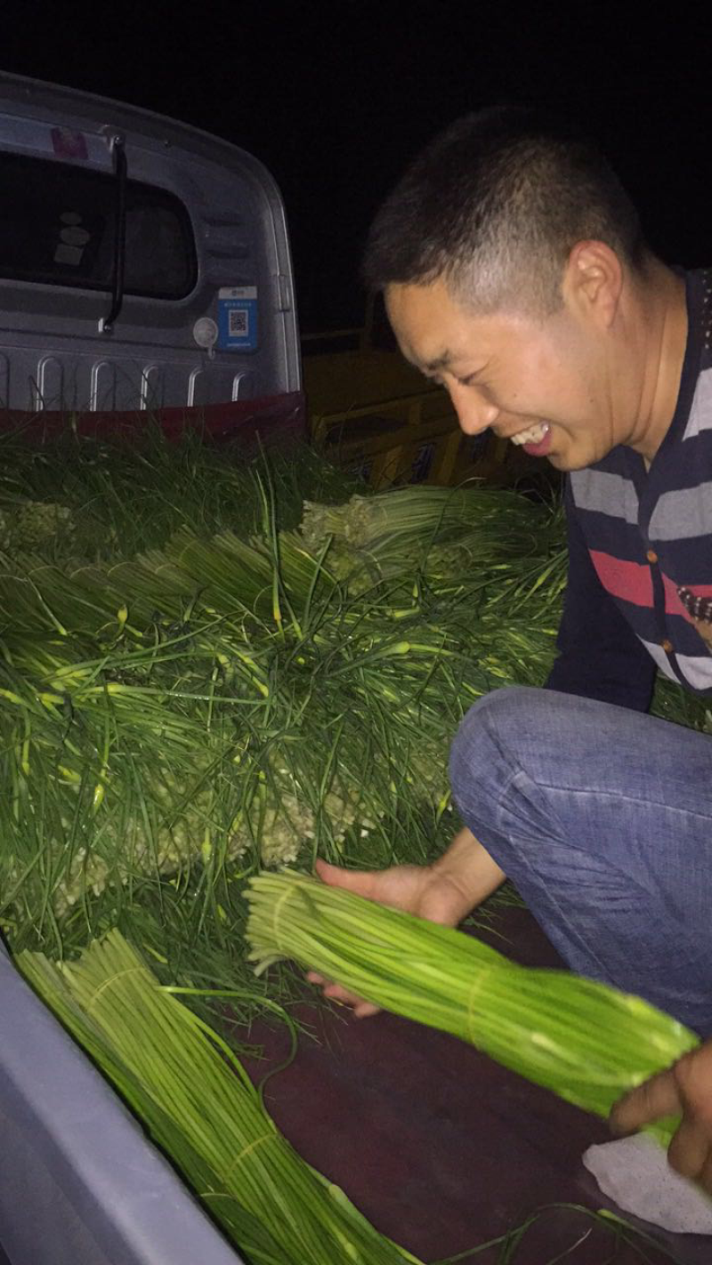 什邡优质蒜苔即将大量上市