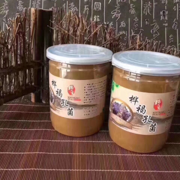 桦树茸粉