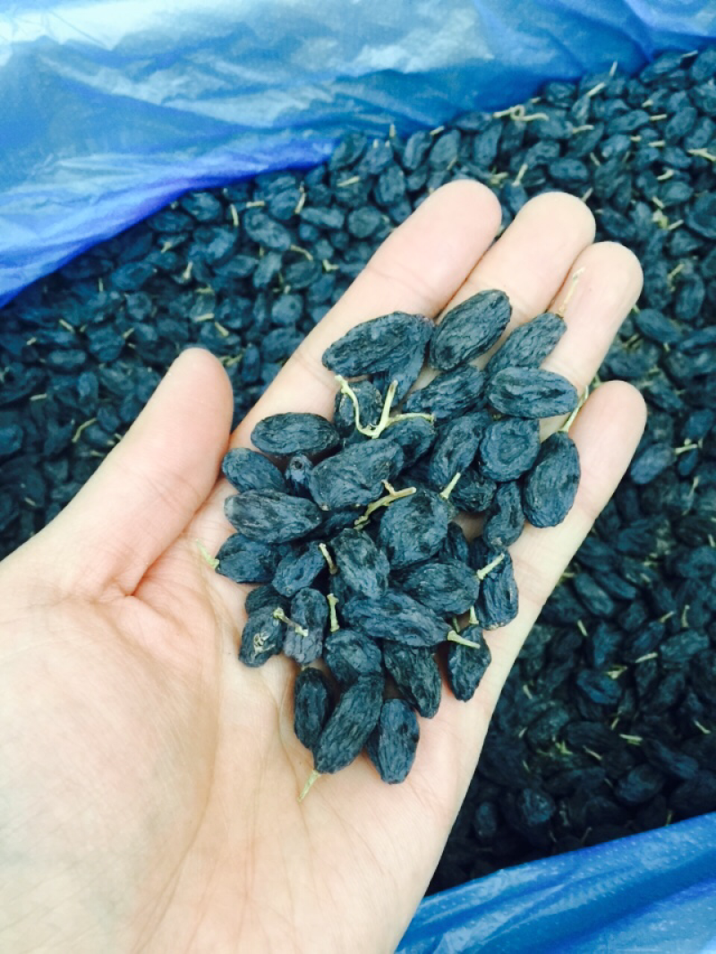 2021年新货！特级黑加仑葡萄干风味浓郁