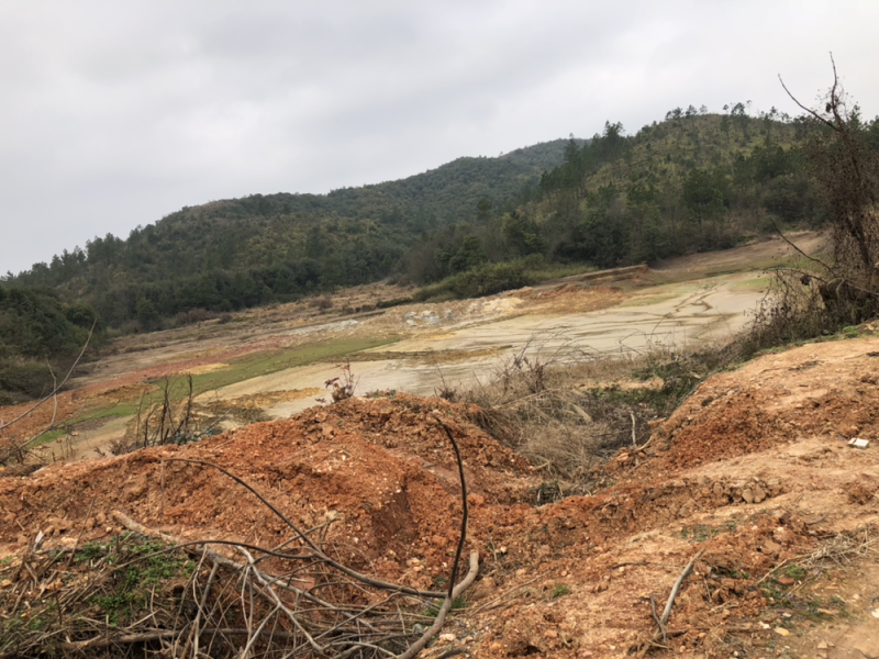 江西余干县梅港乡国道边山地转让