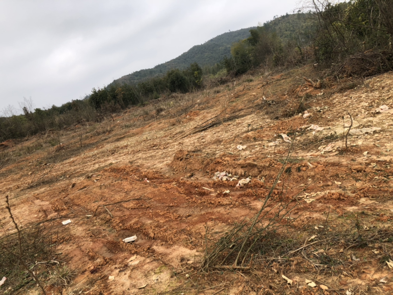 江西余干县梅港乡国道边山地转让