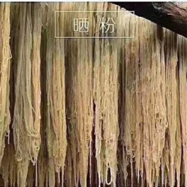寻找正宗泗粉干