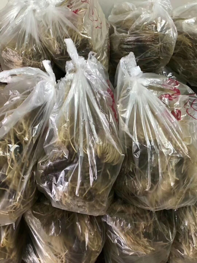 寻找正宗泗粉干