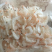 霞浦虾皮,一级虾米,淡干熟虾皮,孕妇宝宝辅食