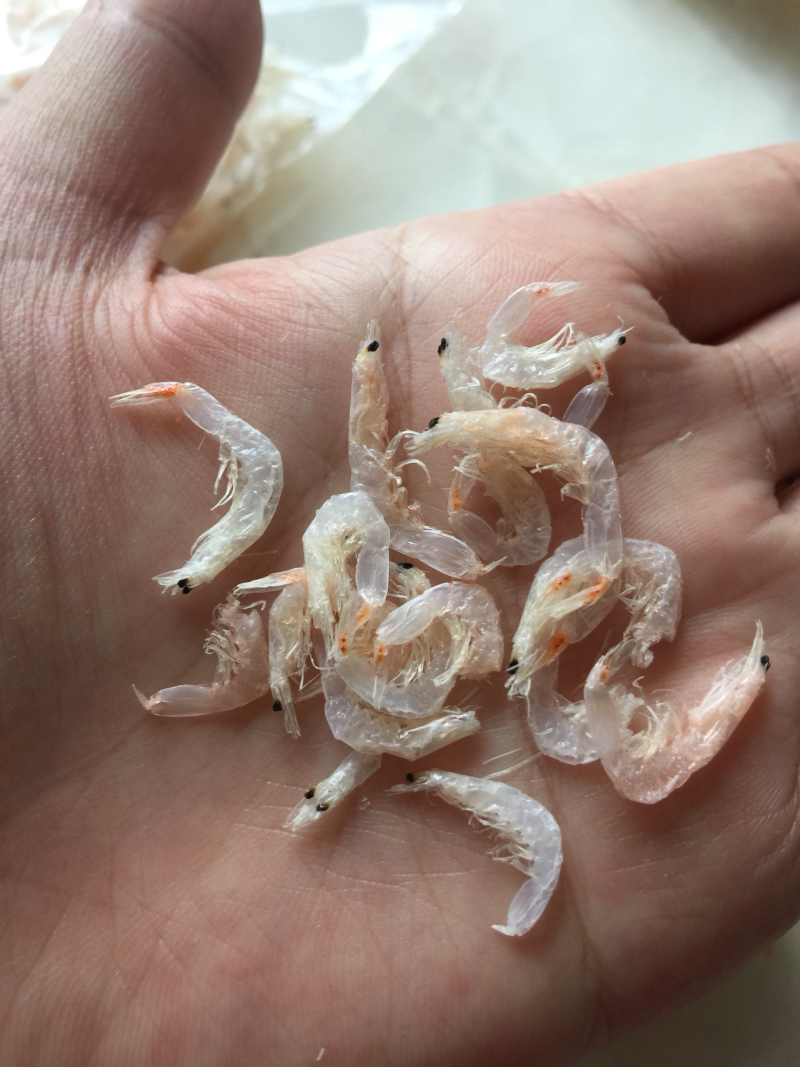 霞浦虾皮，一级虾米，淡干熟虾皮，孕妇宝宝辅食