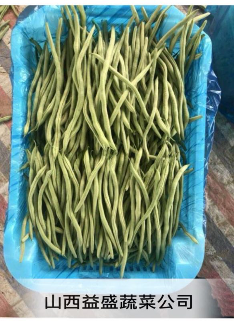 豆角大量上市需要联系