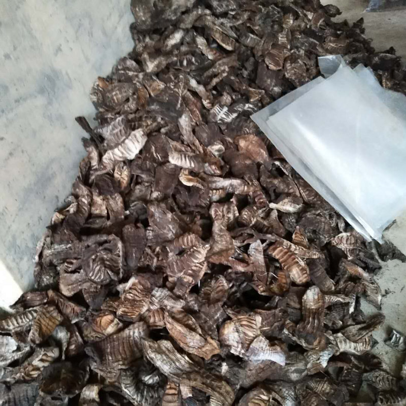 烟笋上市，需要的老板赶紧联系，货量不多，先买先得！