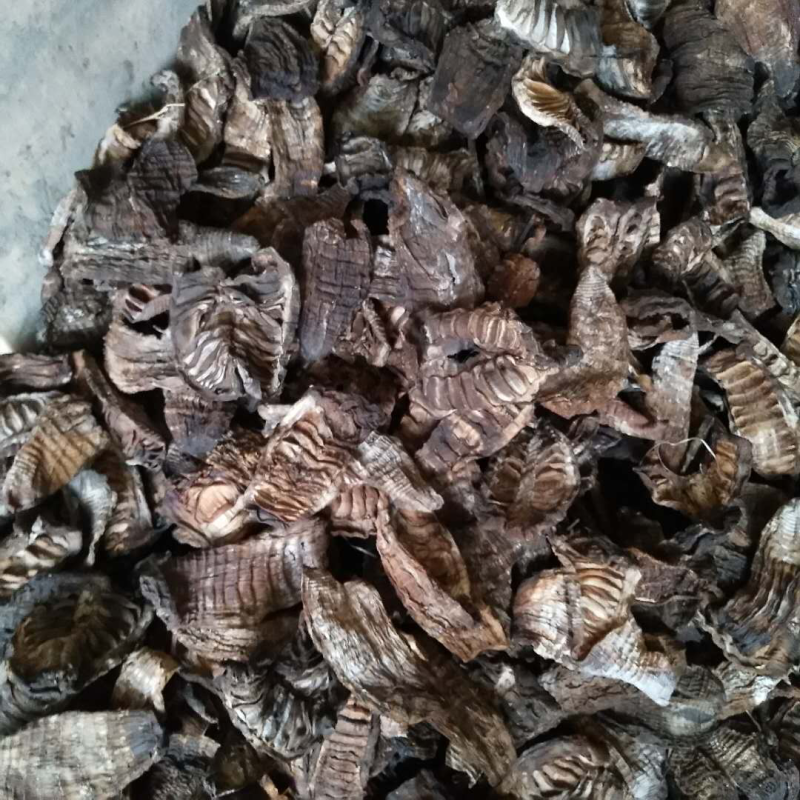 烟笋上市，需要的老板赶紧联系，货量不多，先买先得！