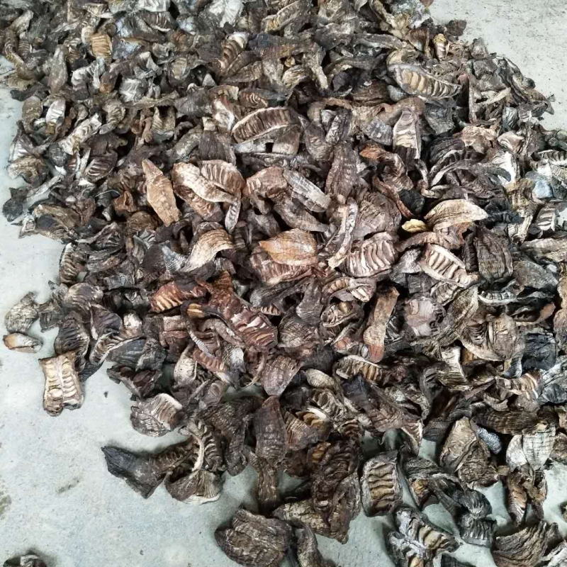 烟笋上市，需要的老板赶紧联系，货量不多，先买先得！