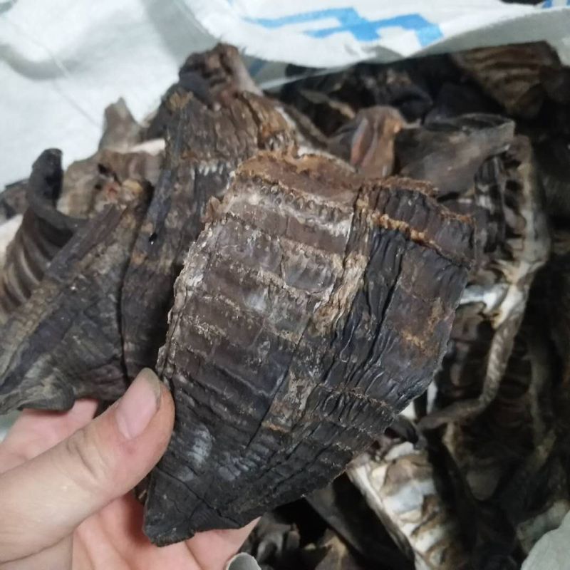烟笋上市，需要的老板赶紧联系，货量不多，先买先得！