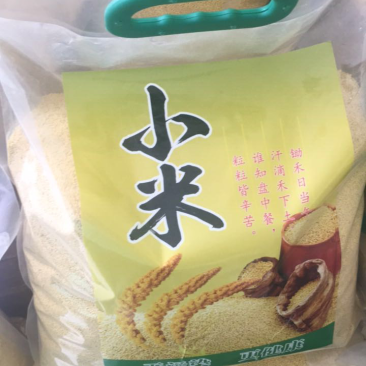 绿色原生态小米