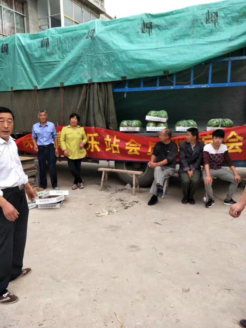 。8424麒麟瓜。
