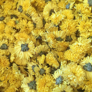 婺源皇菊