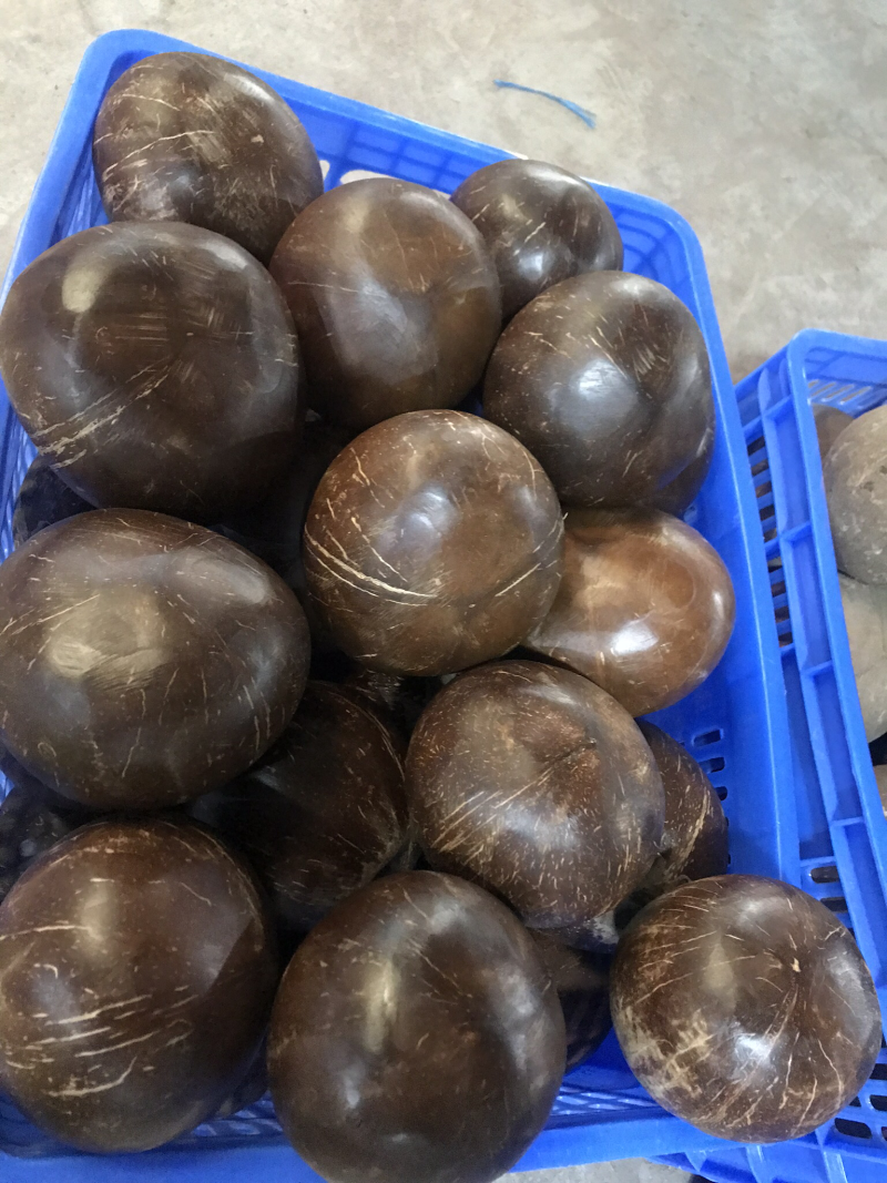 越南老椰、椰皇供应