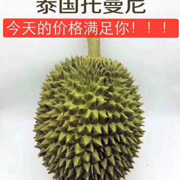 巴掌榴莲