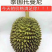 巴掌榴莲