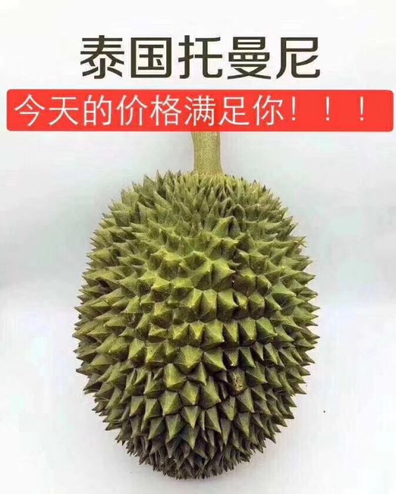 巴掌榴莲