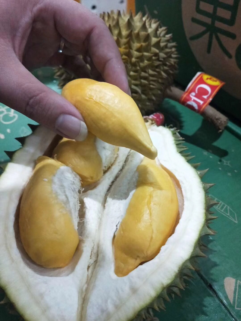 巴掌榴莲