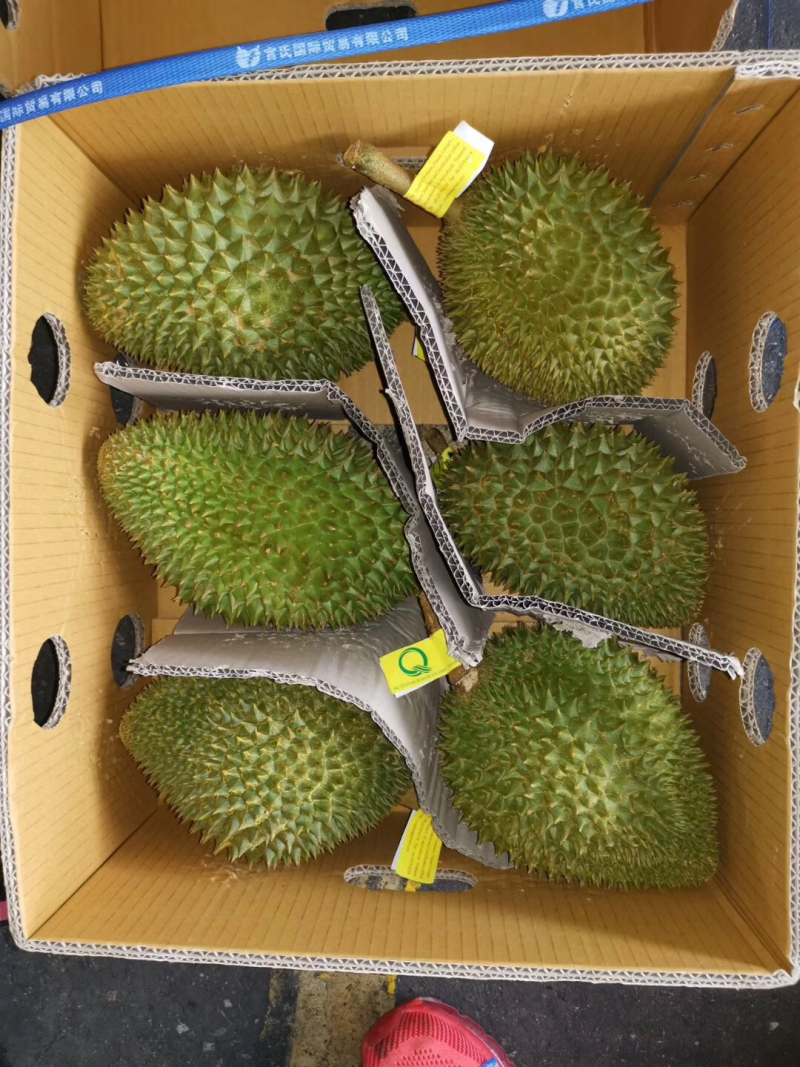巴掌榴莲