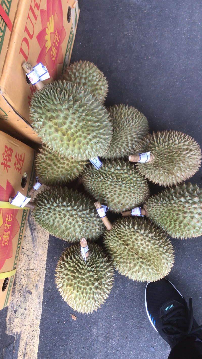巴掌榴莲