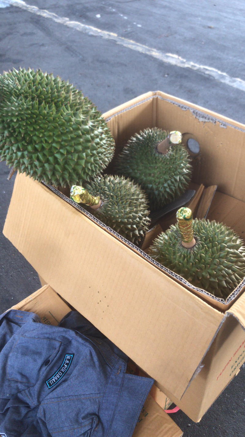 巴掌榴莲