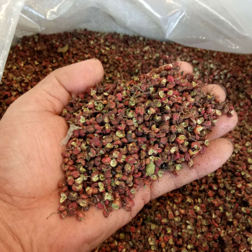 花椒（中货），花椒中上货中下货，花椒中货，花椒中货