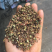 花椒（次货），打粉货，通货，花椒花椒花椒花椒