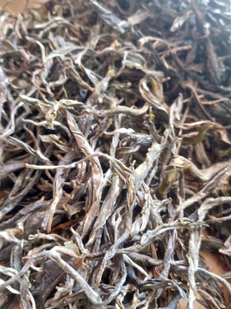 普洱300多年藤条古树茶