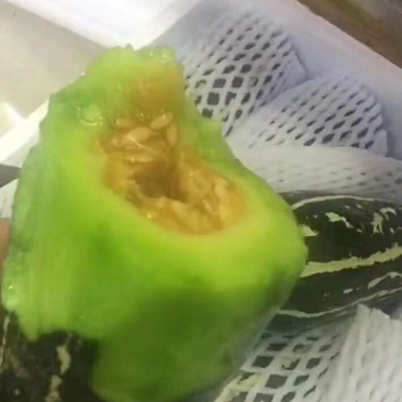 博洋9甜瓜