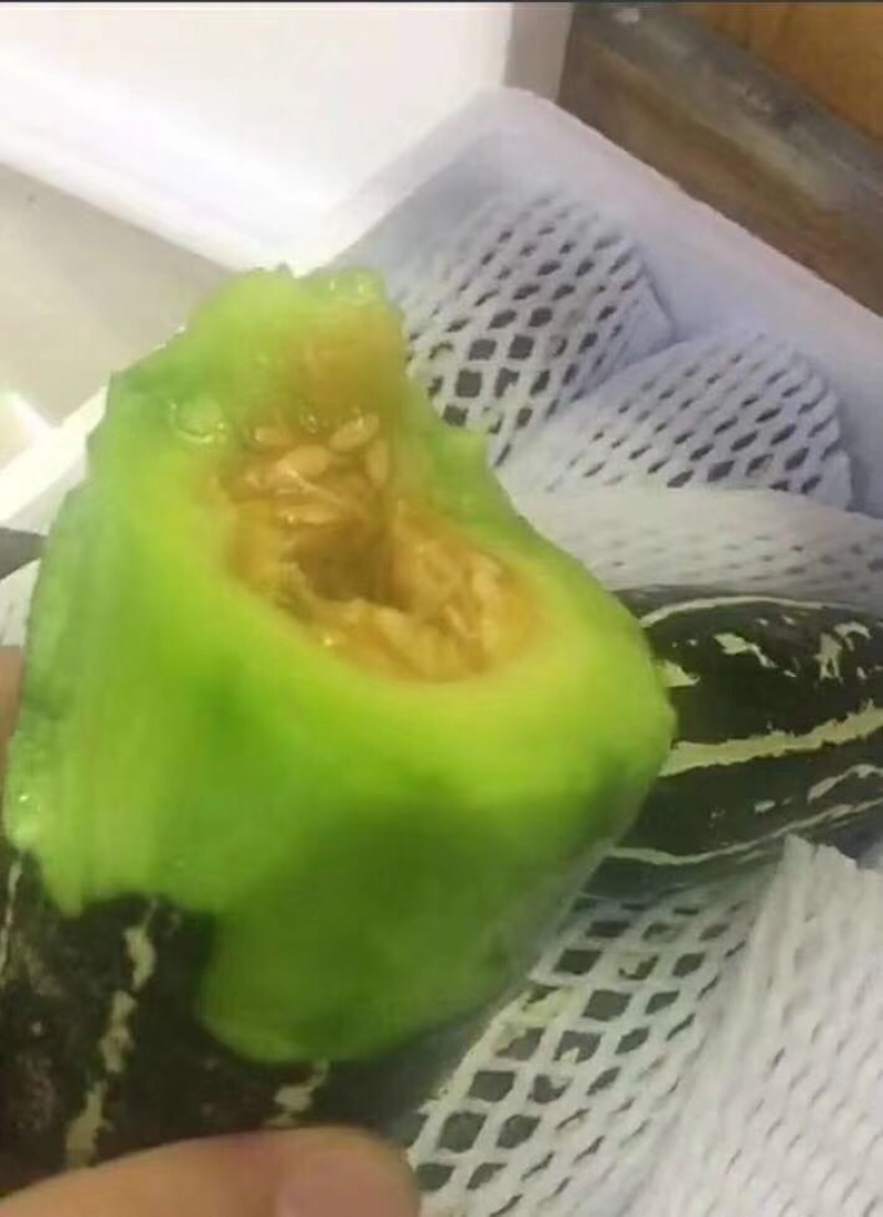 博洋9甜瓜