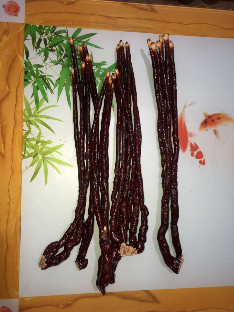 鹿茸灵芝，鹿角灵芝，鹿角灵芝切片，鹿角灵芝菌包