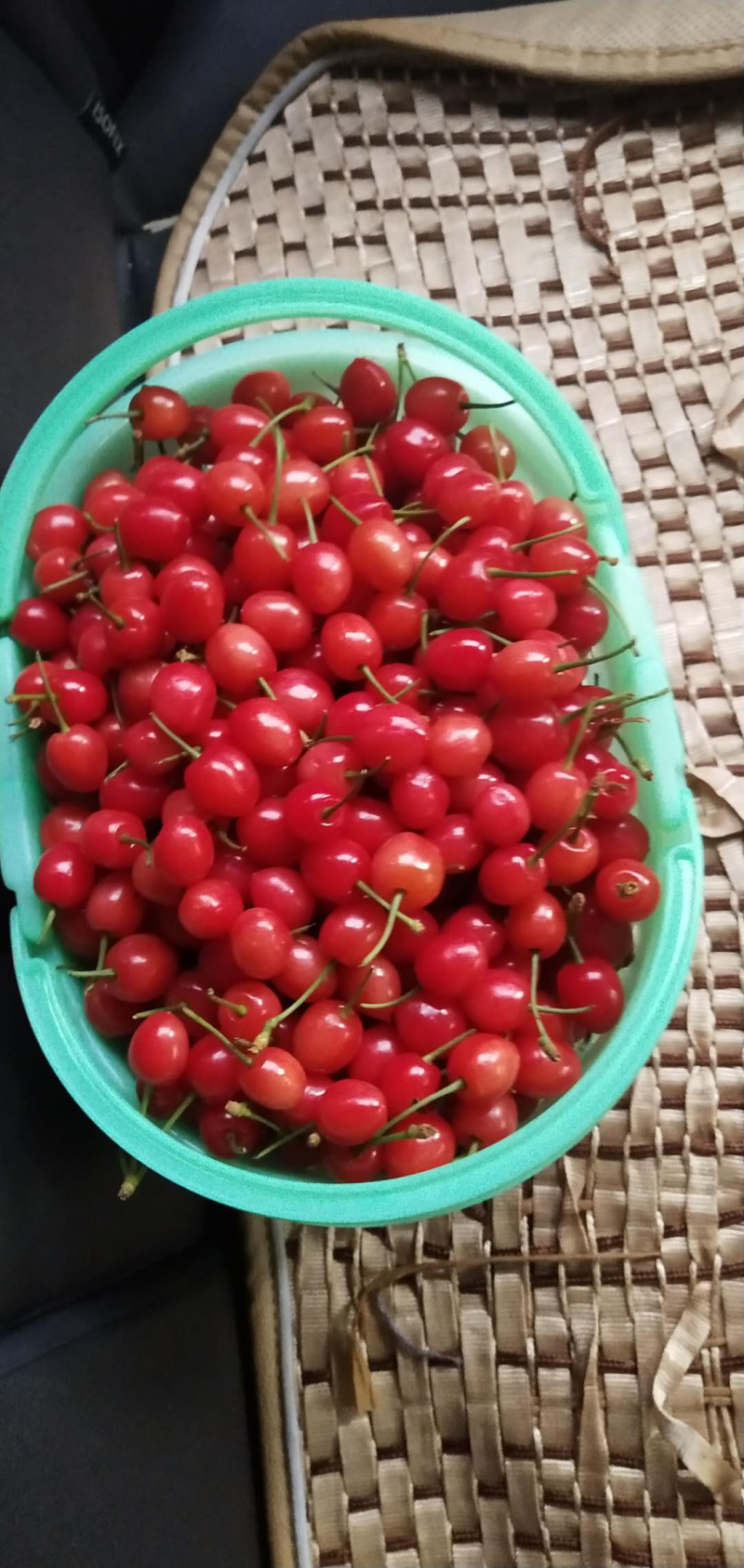 毕节总溪河玛瑙红樱桃
