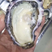 乳山牡蛎三倍体4到5两自家养殖加工批发销售