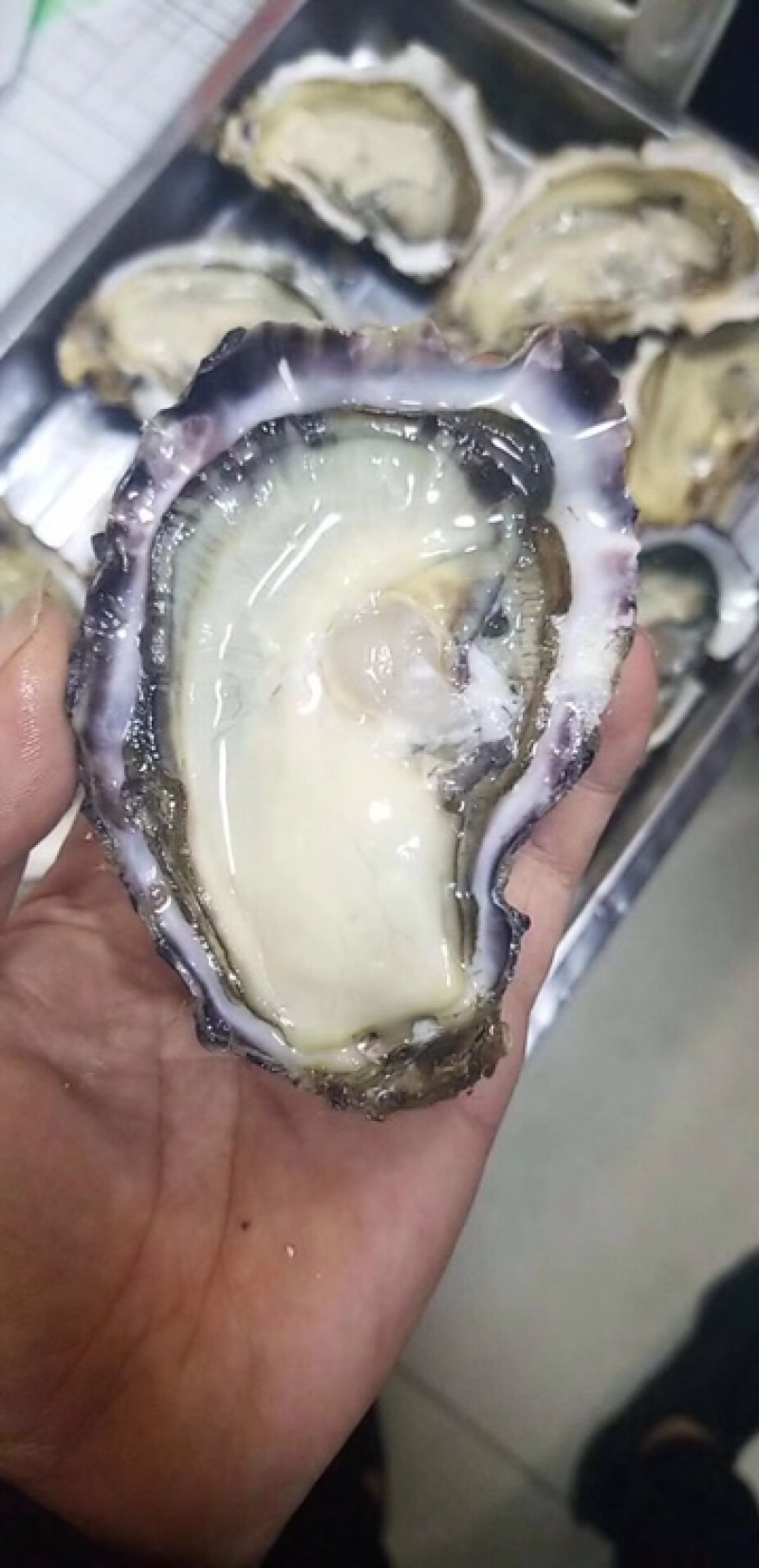 乳山牡蛎三倍体4到5两自家养殖加工批发销售