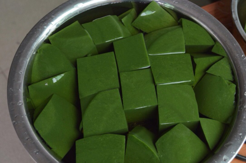 豆腐柴观音豆腐神仙叶豆腐柴粉斑鸠凉粉大量有货。