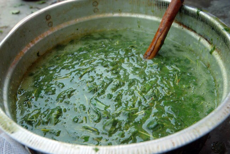 豆腐柴观音豆腐神仙叶豆腐柴粉斑鸠凉粉大量有货。