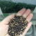各种牧草大量供应欢迎老板前来咨询